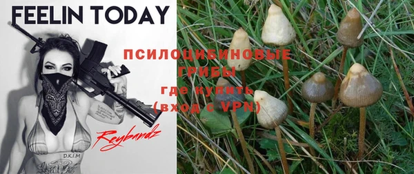 прущий лед Киренск