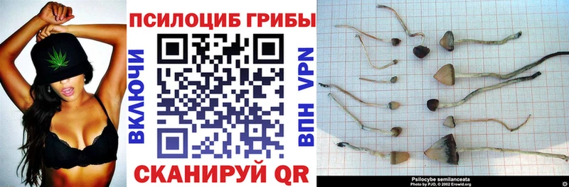Псилоцибиновые грибы Psilocybine cubensis  Купить где  Аткарск 